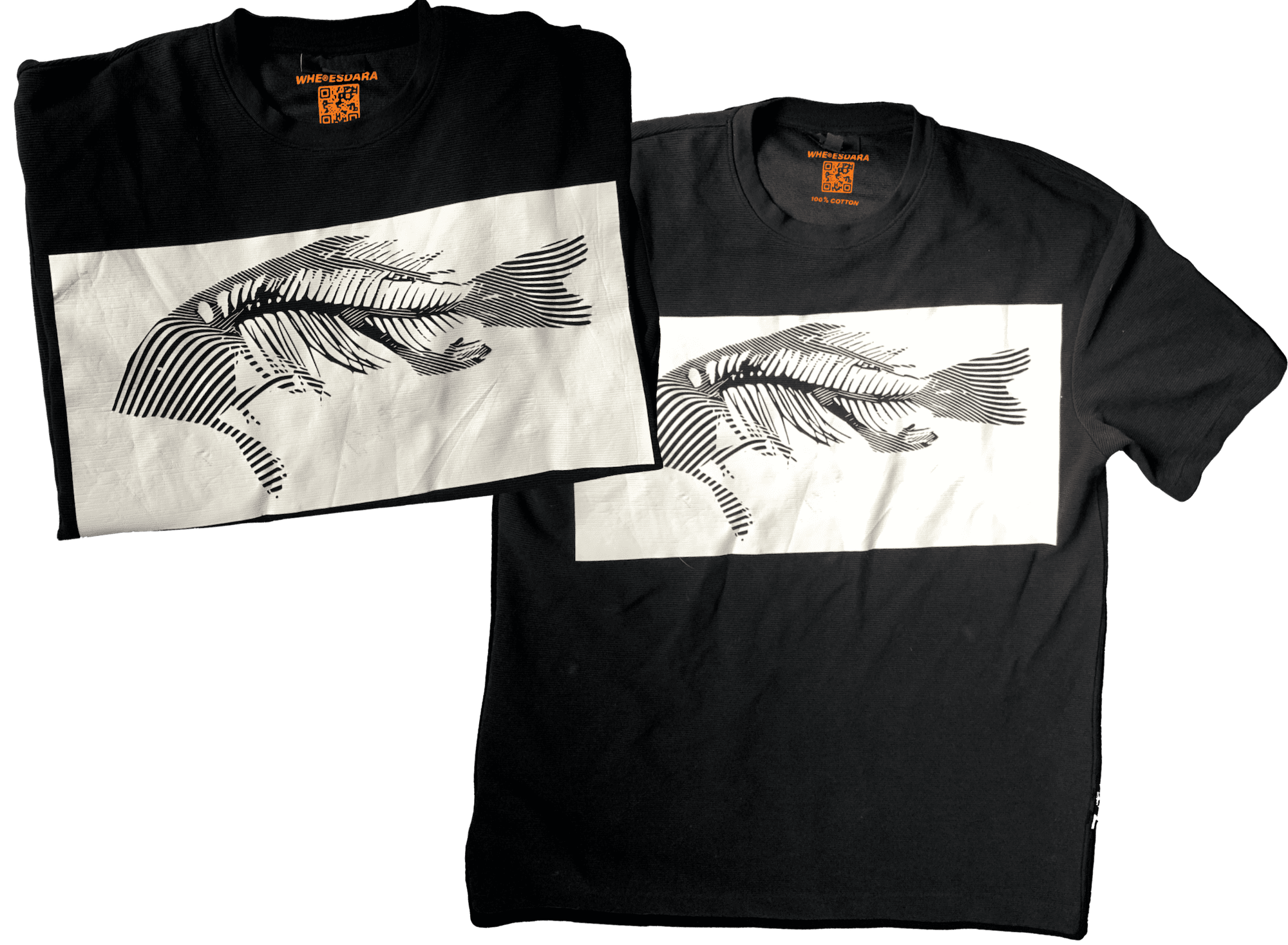 EXFISCH FOSSIL